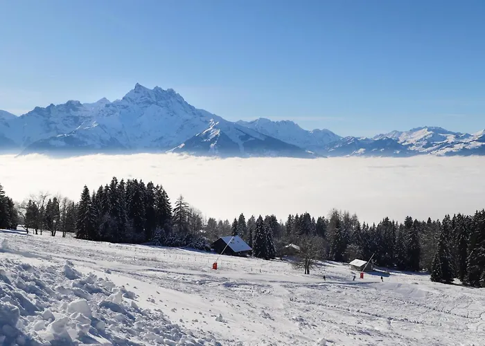 Topaze 2 By Interhome アパート ヴィラール・シュル・オロン